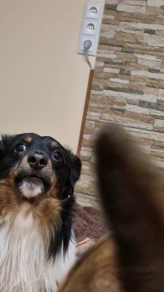 TikTok video thumbnail by dontaira1