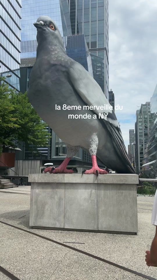 TikTok video thumbnail by romane.thom