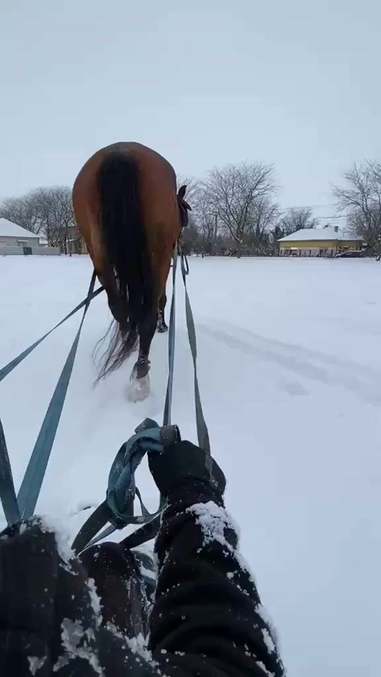 TikTok video thumbnail by hencsyke8