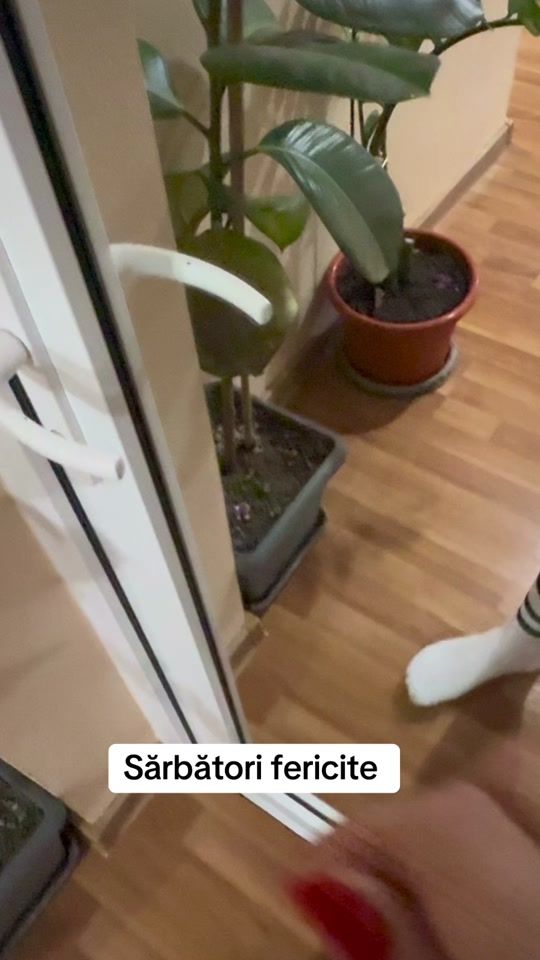 TikTok video thumbnail by cernau78