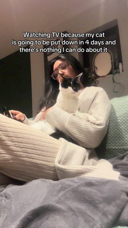 TikTok video thumbnail by the.lucky.thirteen
