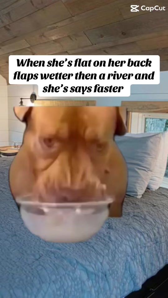 TikTok video thumbnail by thememeking_89