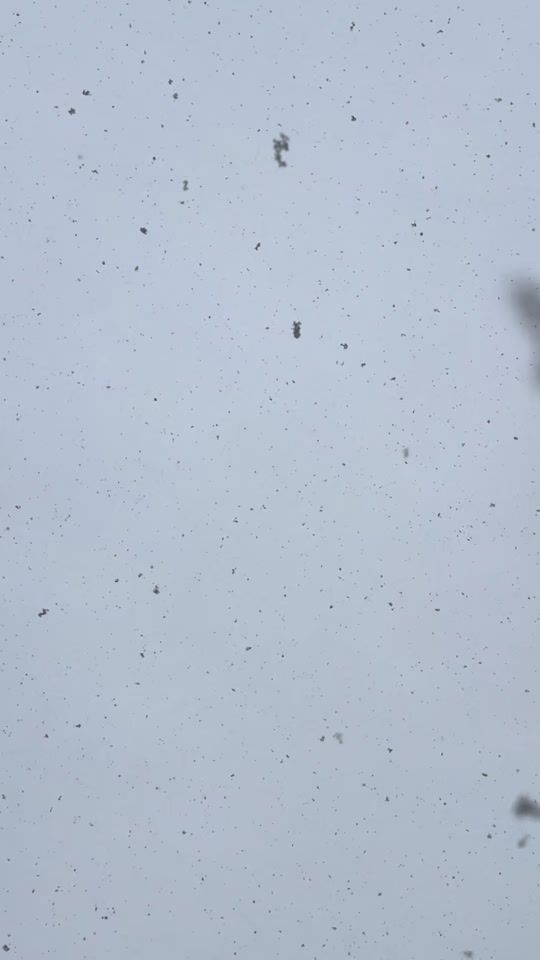 TikTok video thumbnail by luigirullo_