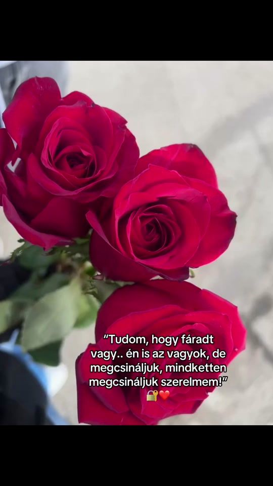 TikTok video thumbnail by dorka.doraaaaa