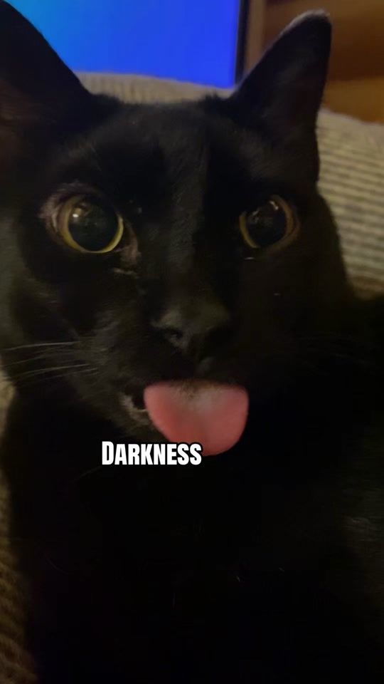 TikTok video thumbnail by metallicat_1