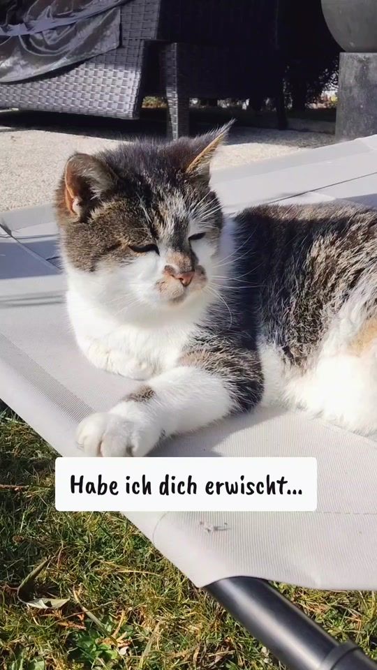 TikTok video thumbnail by _sabi2_