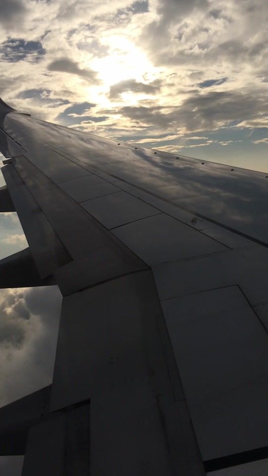 TikTok video thumbnail by polrisch