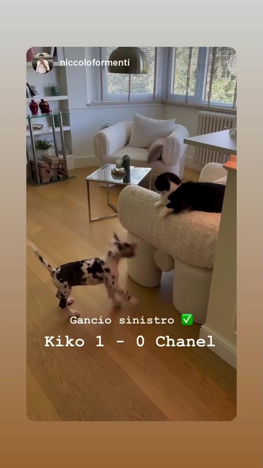 TikTok video thumbnail by iulia.livia