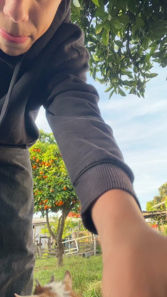 TikTok video thumbnail by ventturax7