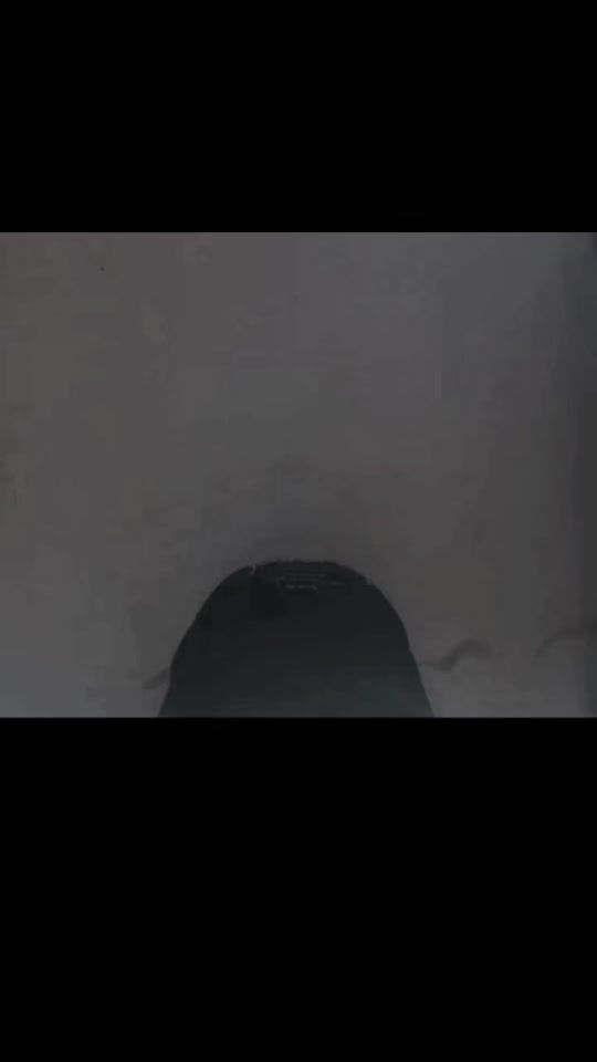TikTok video thumbnail by og.685