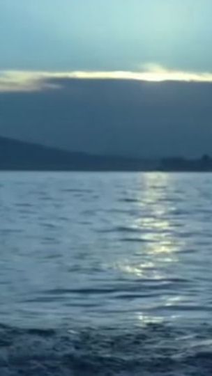 TikTok video thumbnail by fiph_