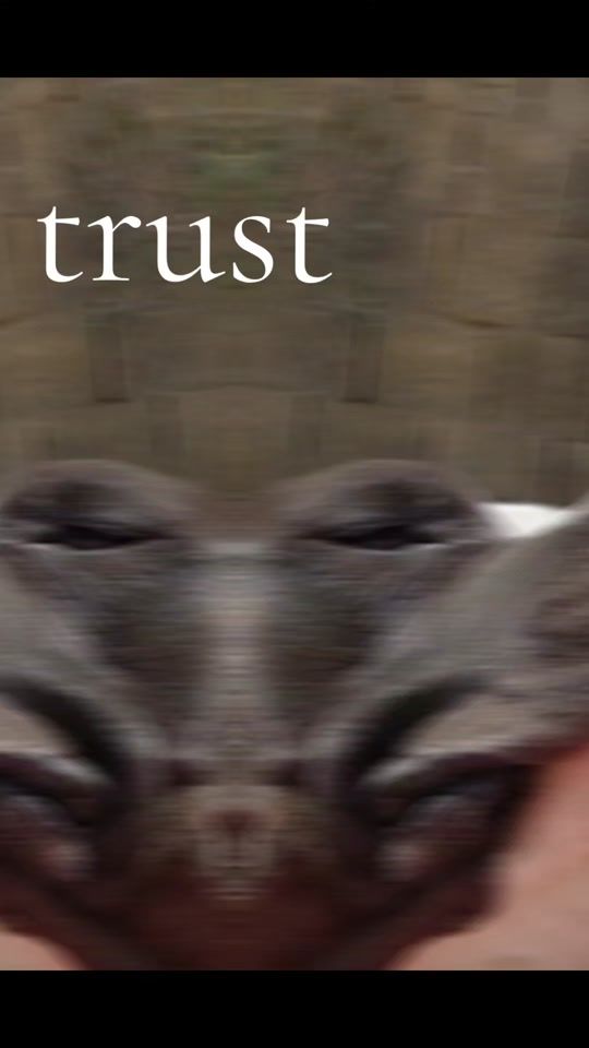 TikTok video thumbnail by adrianzammit675