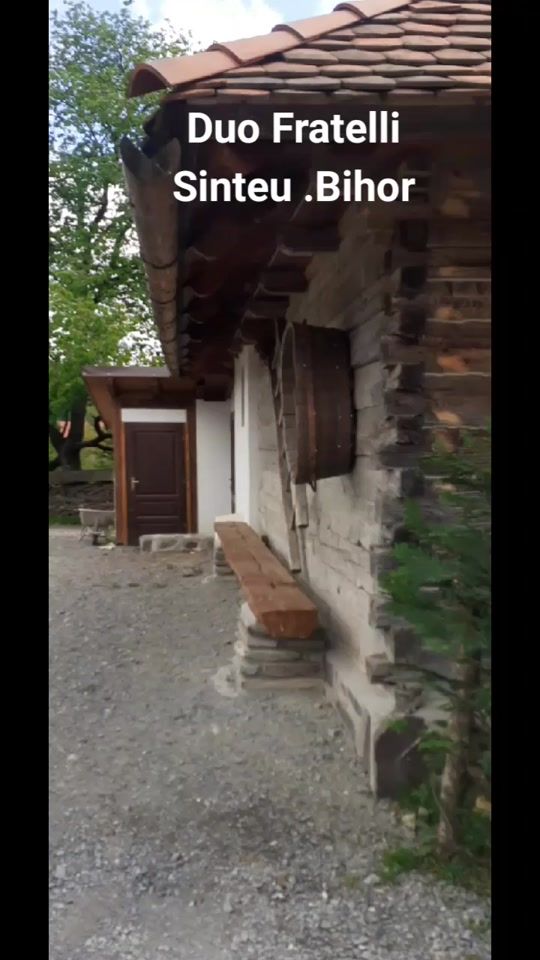 TikTok video thumbnail by elviralauriuc1