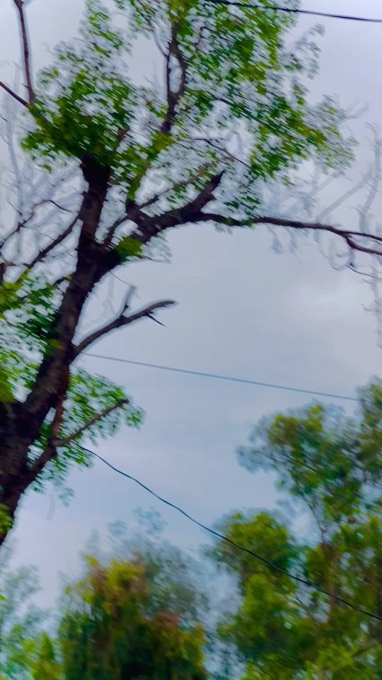 TikTok video thumbnail by noor.ali.450
