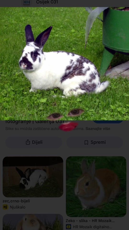 TikTok video thumbnail by debelamamma