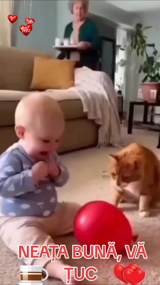 TikTok video thumbnail by marianbij