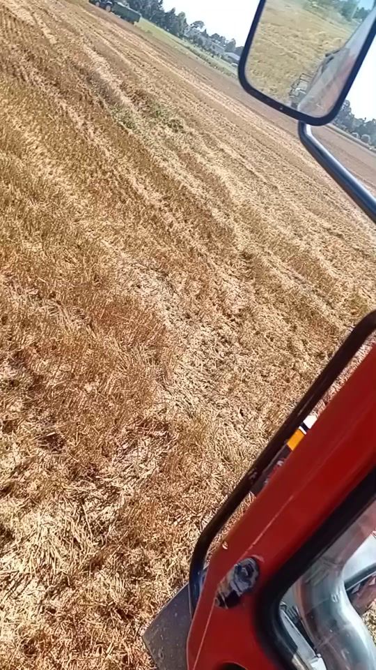 TikTok video thumbnail by jonaspetrulis