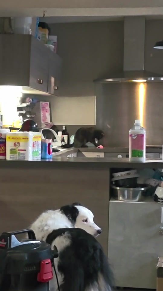 TikTok video thumbnail by clochette.andcie