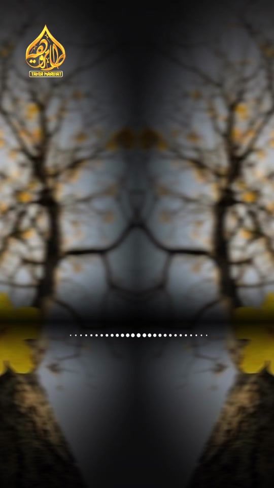 TikTok video thumbnail by khaksaro03