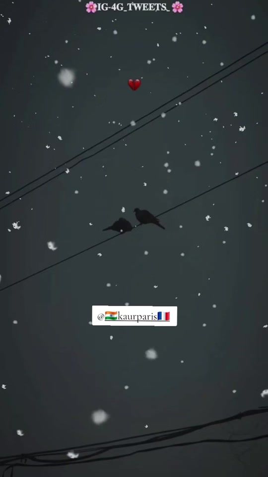 TikTok video thumbnail by kaurparis