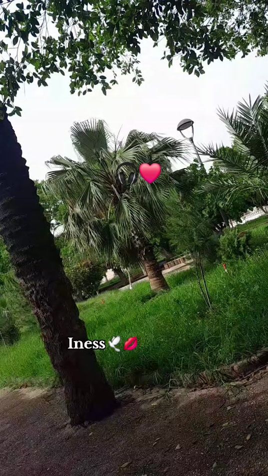 TikTok video thumbnail by inees_bch4