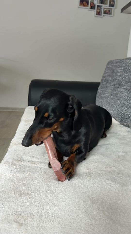 TikTok video thumbnail by eliska.jaresova