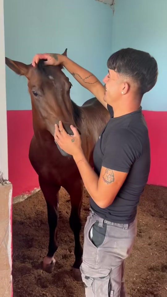TikTok video thumbnail by samuelebalistreri.0