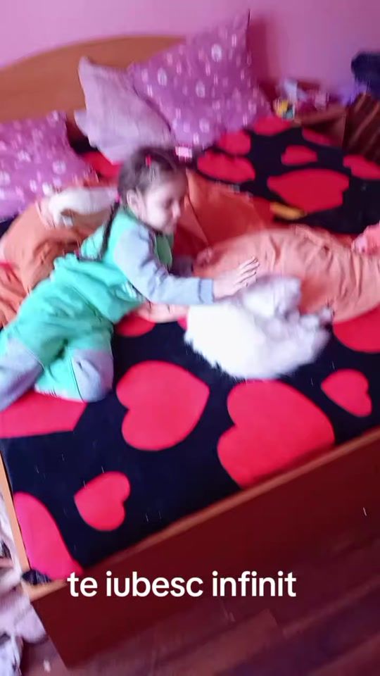 TikTok video thumbnail by vioviorica221