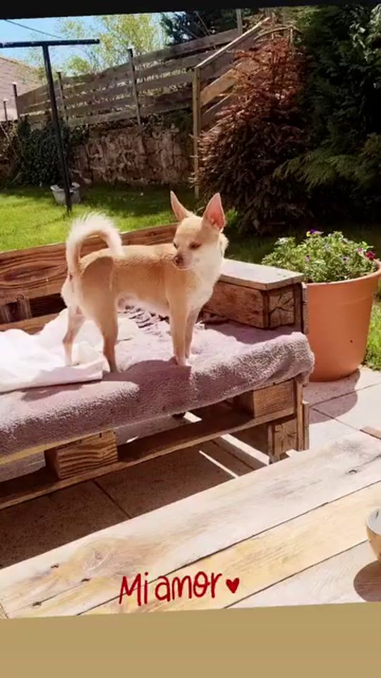 TikTok video thumbnail by miro_mirunka