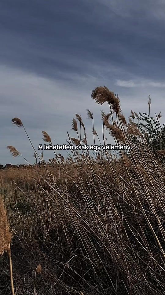 TikTok video thumbnail by vanitt_minden
