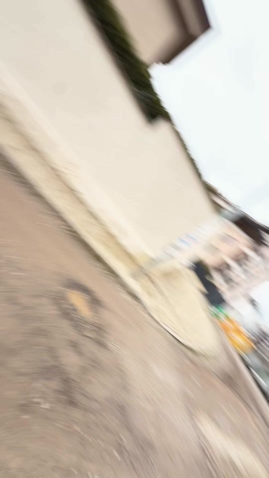 TikTok video thumbnail by airplantsbg