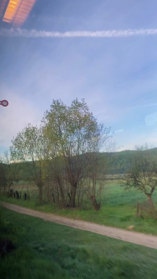 TikTok video thumbnail by andrei_denis_