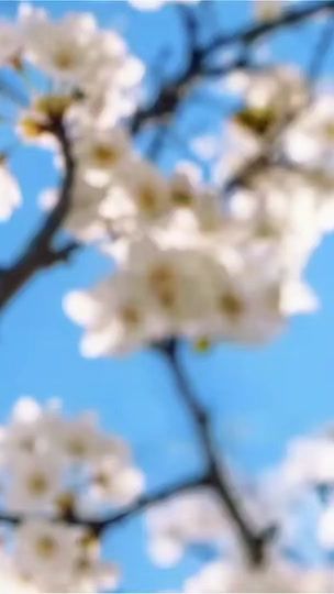 TikTok video thumbnail by stavros_karas