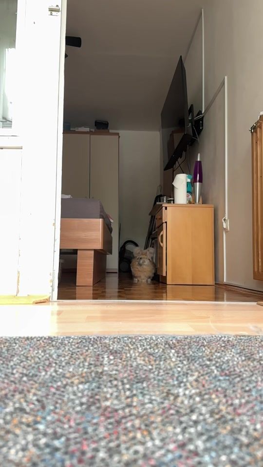 TikTok video thumbnail by nasloz3