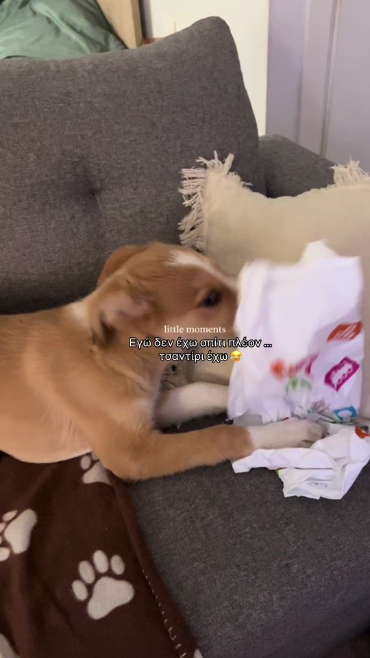 TikTok video thumbnail by nancy_kristal