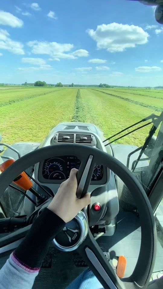TikTok video thumbnail by _wenka