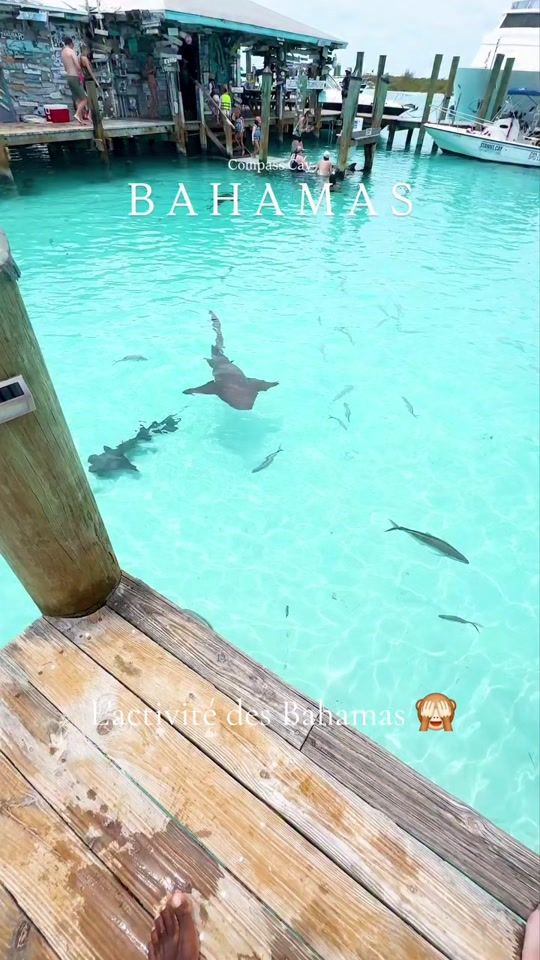 TikTok video thumbnail by cherifaistesvalises