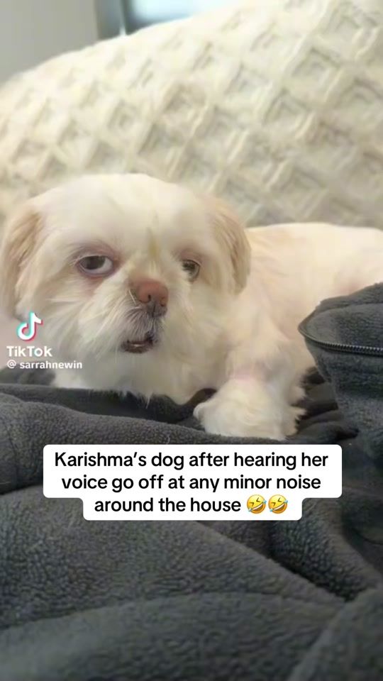 TikTok video thumbnail by conorgalv