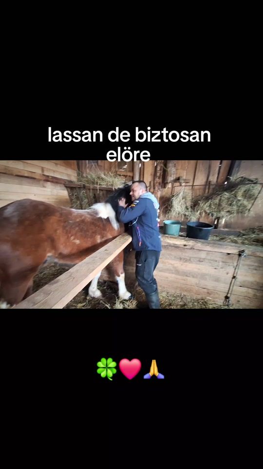 TikTok video thumbnail by kispipa