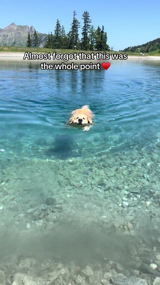 TikTok video thumbnail by anton.intirol
