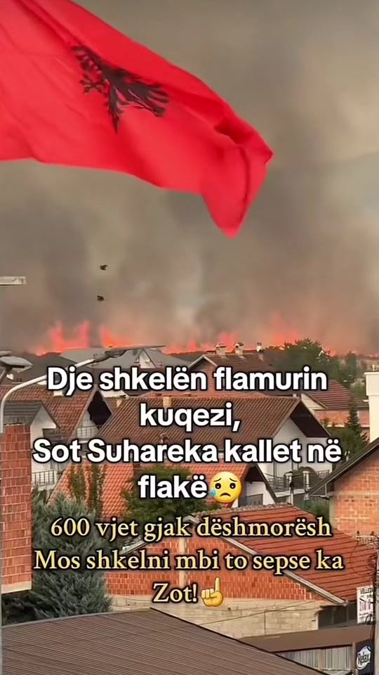 TikTok video thumbnail by memeshqipt