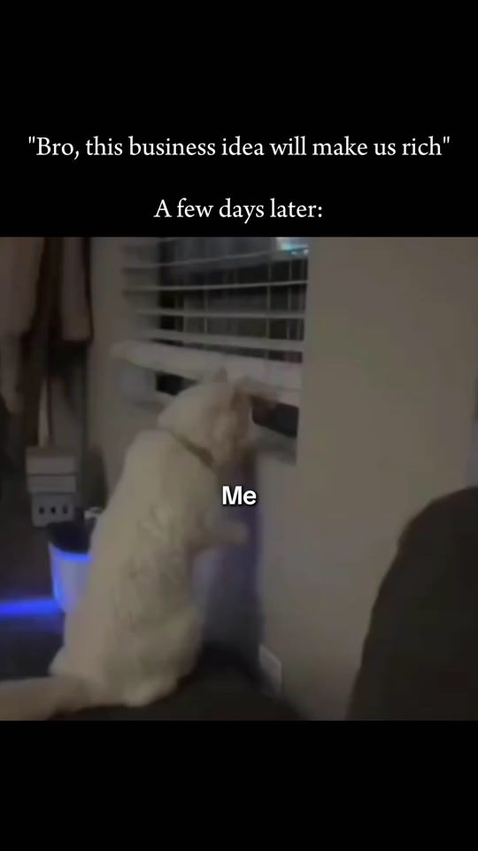TikTok video thumbnail by dropship