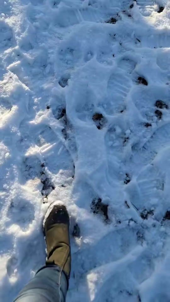 TikTok video thumbnail by _g.patricia