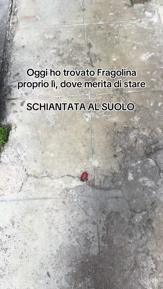 TikTok video thumbnail by marikapisciotta