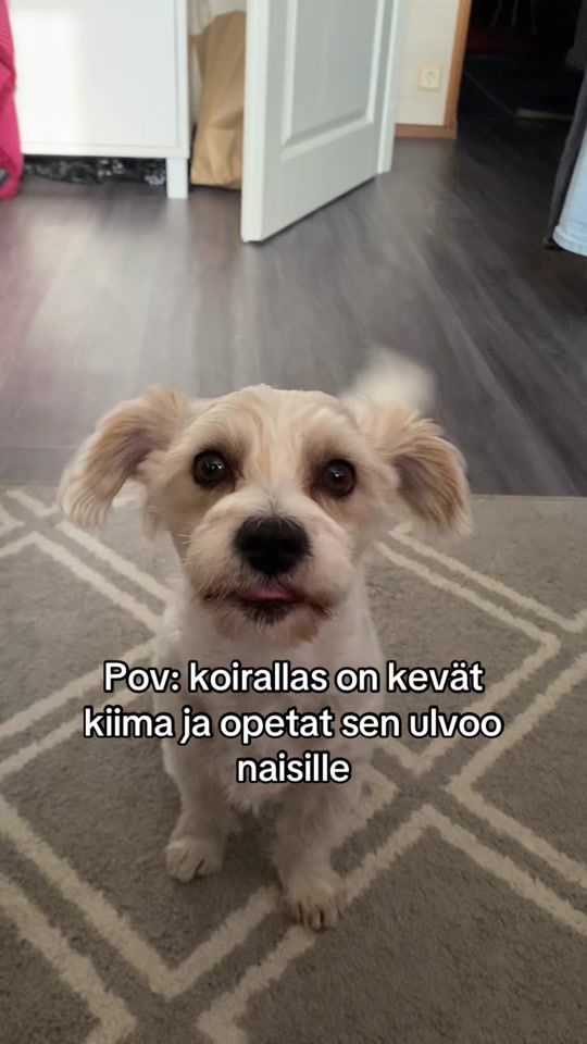 TikTok video thumbnail by pinjaoliviaas