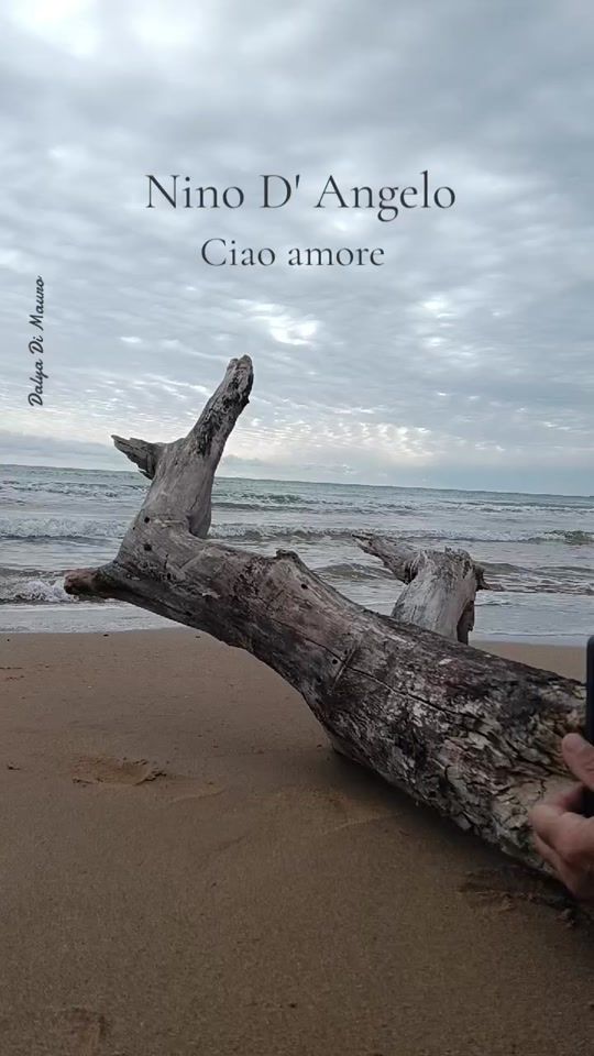 TikTok video thumbnail by dalyadimauro