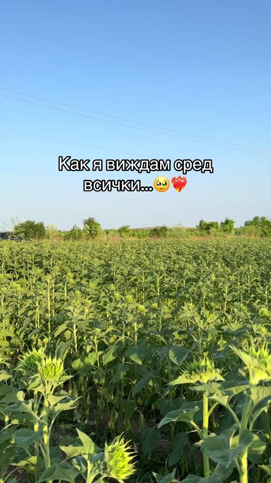 TikTok video thumbnail by stoian_s
