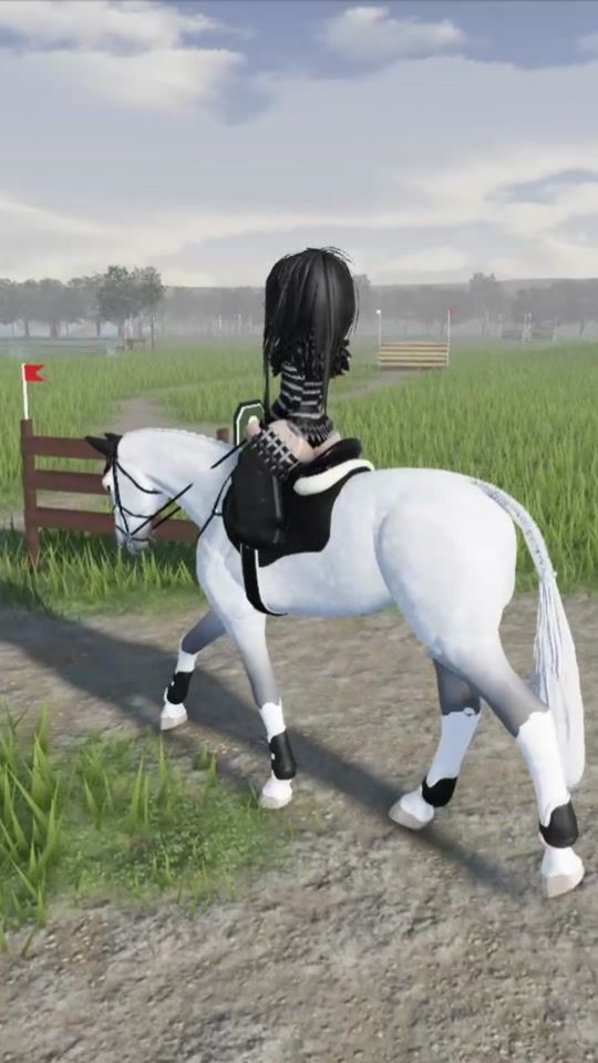 TikTok video thumbnail by equistride_