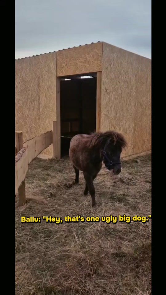 TikTok video thumbnail by aigarsklavs