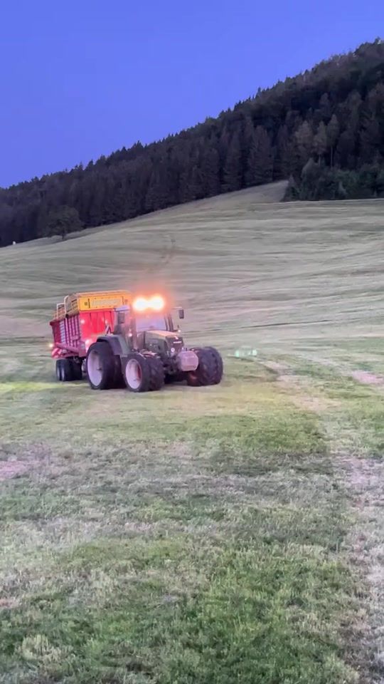 TikTok video thumbnail by glosna_agrar